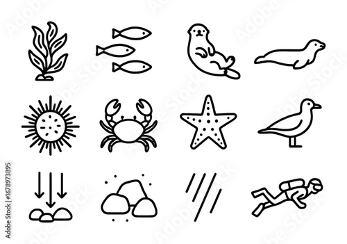 Kelp Forest Icons. Outline icon set of kelp forest ecosystems: kelp fronds, fish schools, sea otters, seals,
