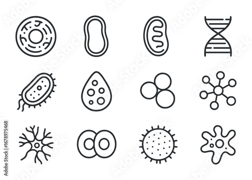 Cell Structure Icons. Outline icon set of cell structures: nucleus core, membrane outline, mitochondria shape,