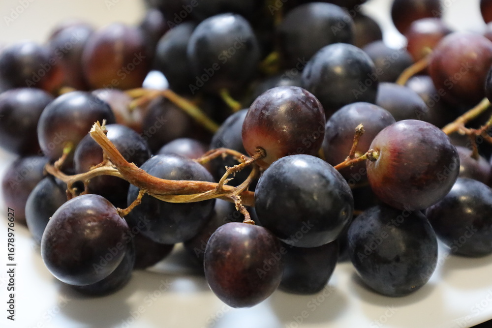 Fototapeta premium Muscat Hamburg Grapes Close-up on the Vine