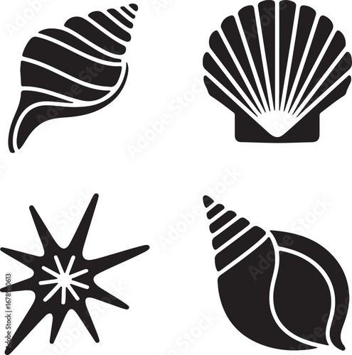 Set of seashells vector illustration with black silhouette design elements