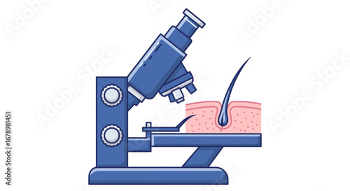 Microscopic Examination of Skin and Hair Follicle Illustration.