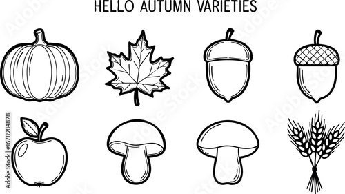 Autumn varieties collection with pumpkin maple leaf acorns apple mushrooms and wheat vector illustration