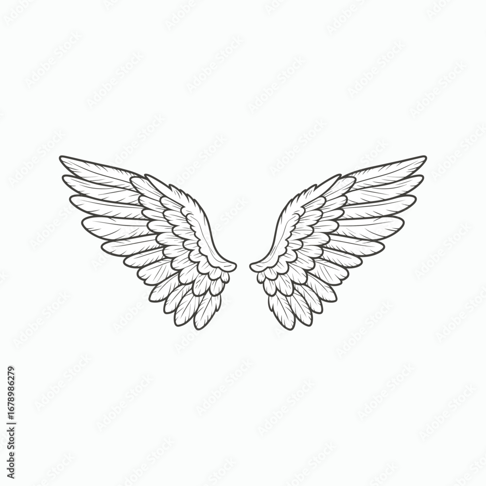 Obraz premium vector illustrator of simple angel wings is isolated on white background