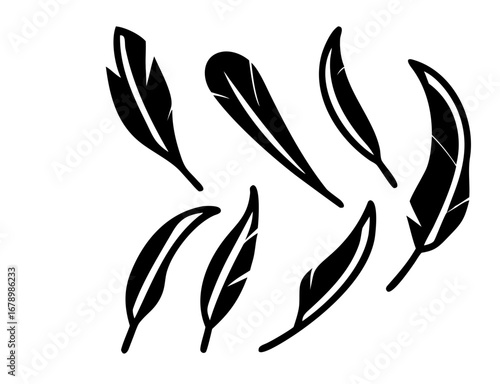 Feathers vector set in a flat style.Icons feathers isolated on a white background