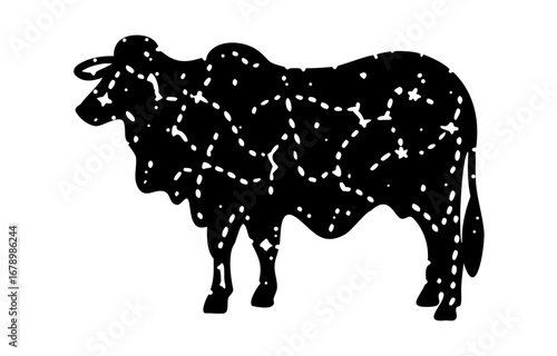 Silhouette of a cow. of farm animals cows