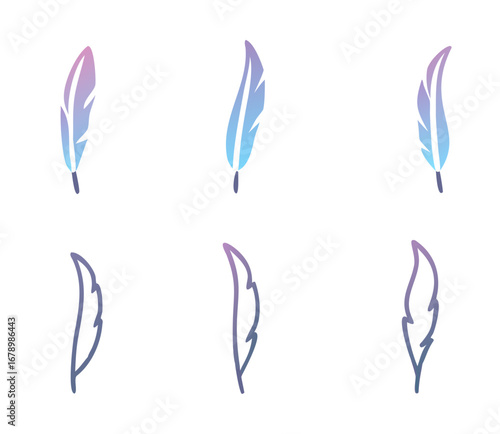 feathers set colorful for your design. logo template