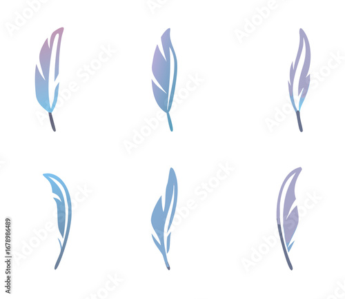 feathers set colorful for your design. logo template