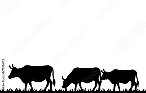 Silhouette of a cow. of farm animals cows 