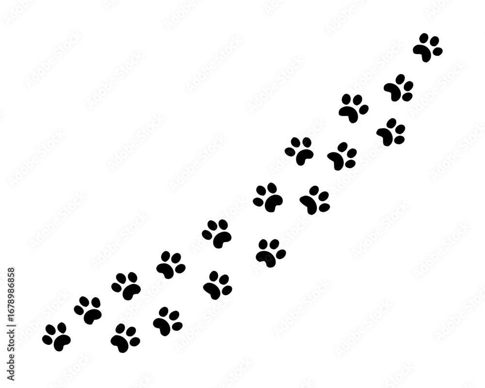 Paw vector foot trail print of cat. Paw dog, puppy, cat vector print, animal, isolated