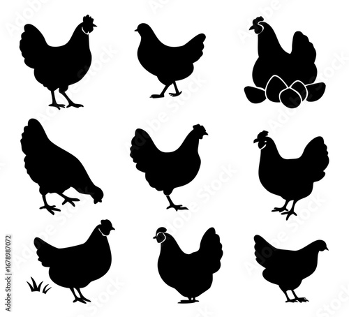 hen chicken icon set. chicken silhouettes, vector Illustration