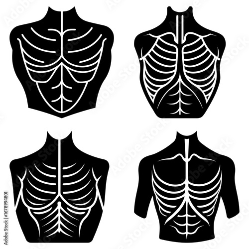 Four anatomical illustrations of the human torso showcasing the rib cage and spinal structure in black and white