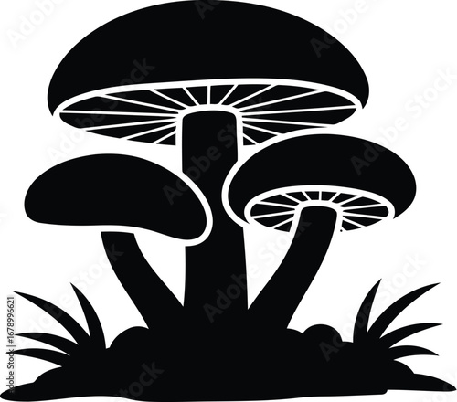 Three mushrooms in silhouette on a grassy patch.