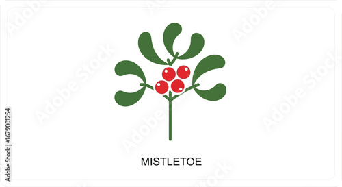 Holiday holly berry mistletoe. Christmas holly berries. Holly berry Christmas icon and mistletoe leaf decorative vector illustration design	