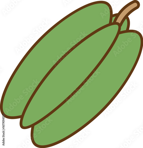 star fruit