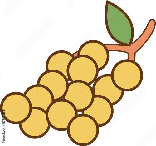 litchi