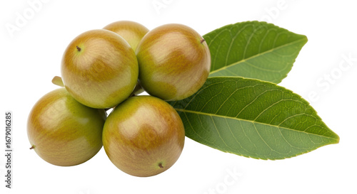 Isolated Camu Camu Fruits with Leaves