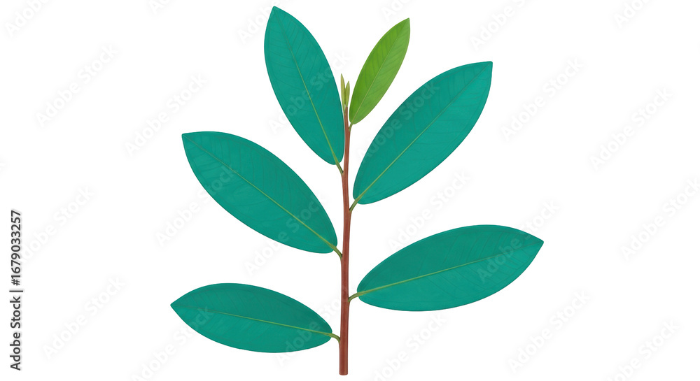 Naklejka premium Isolated Green Leaves with Branch
