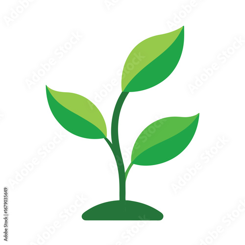 Green plant sprout with three leaves, flat vector illustration, isolated on white background