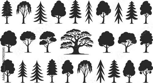 Silhouette of various tree types including deciduous and coniferous species showing forest diversity, nature elements, botanical design, and environmental concept illustration