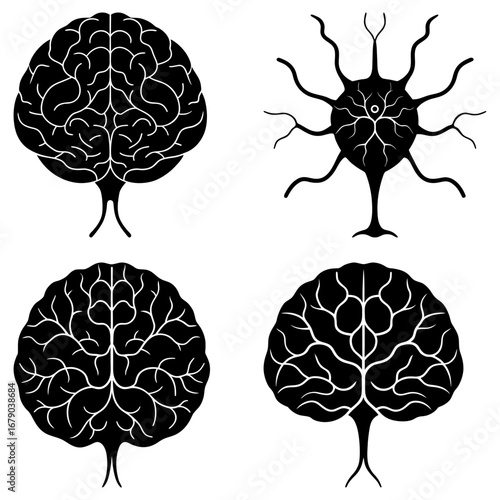Four stylized brain illustrations in black and white showing different neural structures and connections