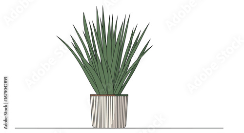 A tall green leafy plant in a decorative textured pot on a white background