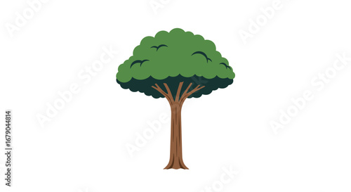 A tall green tree stands proudly on a white background showing its trunk and branches