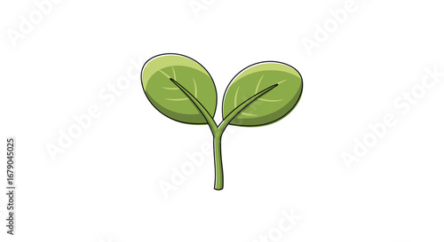 New seedling growth and plant life cycle stages explained