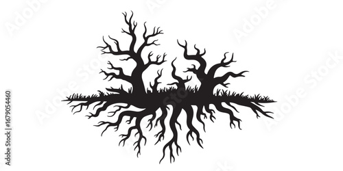 Silhouette of a gnarled ancient tree with exposed sprawling roots against a white background