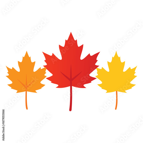 Maple Leaf and Autumn Floral Graphic Design