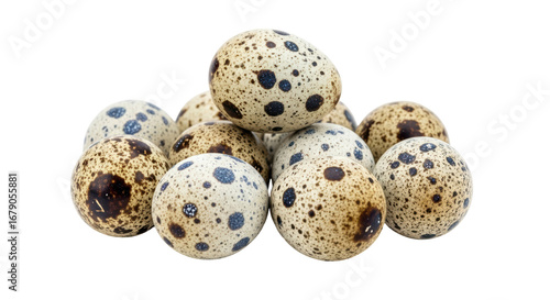 Isolated Pile of Quail Eggs
