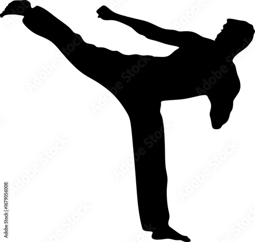 Silhouette warrior midkick power stance