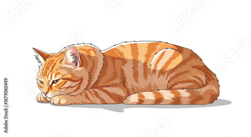 Illustration of a charming ginger tabby cat in a restful pose on a white canvas