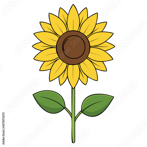 Sunflower Flower Graphic Design