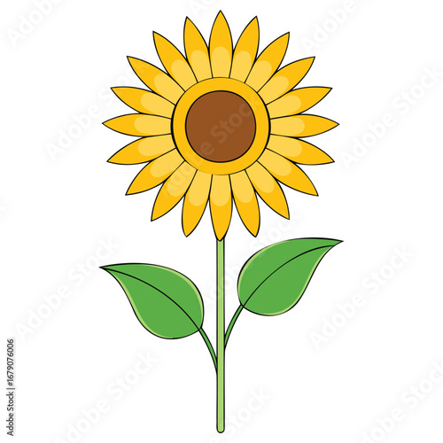 Sunflower Flower Graphic Design