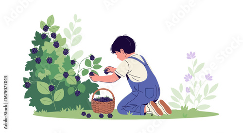 Youngster Harvesting Berries from a Bush, Peaceful Scene Depicting Seasonal Gathering Activities