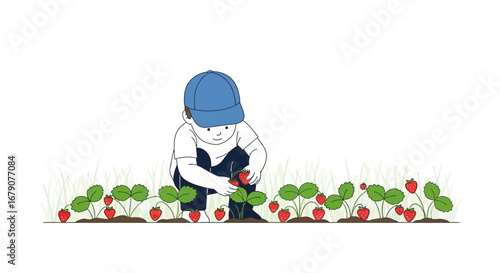 Youngster Harvesting Ripe Strawberries From Garden, Cartoon Illustrating Seasonal Food