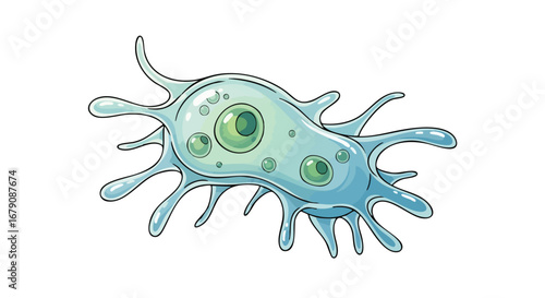 Detailed illustration showcasing a microscopic amoeba, emphasizing its gelatinous structure and pseudopod extensions, set against a plain white