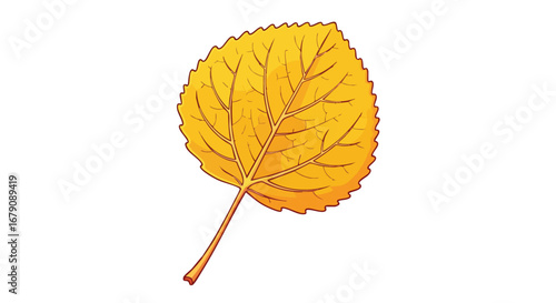Isolated aspen leaf illustration showcasing intricate venation and autumnal color palette against a plain backdrop, perfect for seasonal design