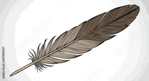 Detailed feather illustration with fine line work against a minimalist backdrop revealing intricate plumage textures and graphic details