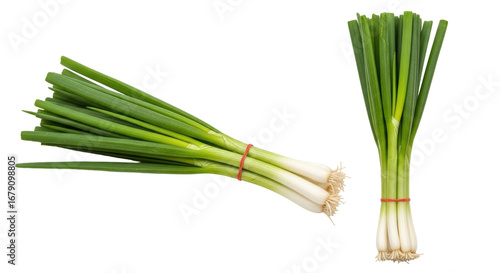 Quadro su tela Isolated Fresh Green Onions