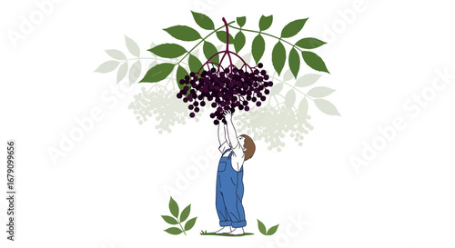 Young Person Reaching for Ripe Fruit Branches Depicting Simplicity And Playfulness
