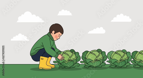 Young Gardener Harvesting Green Cabbages in A Lush Field Under A Cloudy Sky
