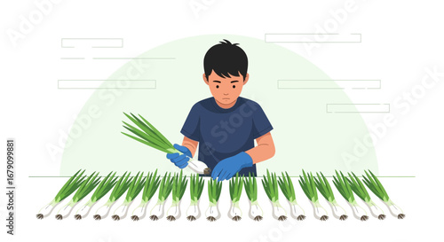 Young Gardener Inspects Fresh Green Onions, Meticulously Arranging the Harvest for Sale