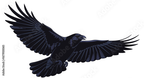 Illustrative depiction of a raven in full flight against a stark white background showcasing detailed wings