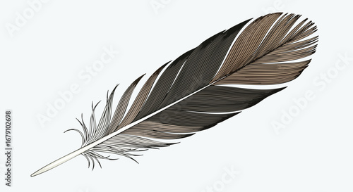 Artistic feather illustration against a stark white backdrop conveying tranquility and grace enhancing creative designs with its unique and delicate