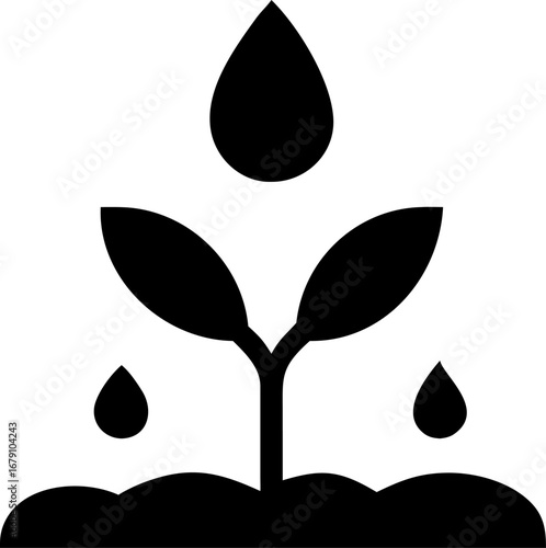 Simple black silhouette icon of a growing plant seedling receiving water drops isolated on a white background for design.
