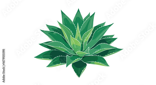 Stylized Agave Plant Illustration Featuring Vibrant Green Tones and Clean Lines on a White Background