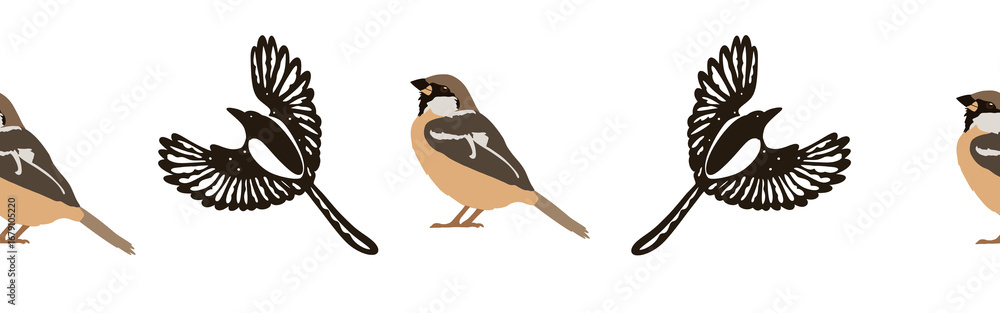 Obraz premium Border icon border. Bird feather silhouette symbol. Bird border isolated on white background