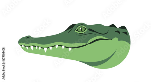 Stylized alligator head side view illustration isolated on a white backdrop showing sharp teeth and textured skin design of the wildlife creature
