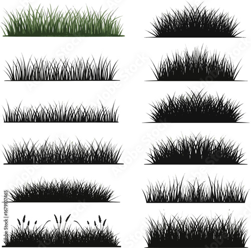  Isolated a watercolor hand drawn ;set of grass line cad and silhouettes isolated on white background. Ground cover. for elevation architectural element, side view, grass section. Vector  art.